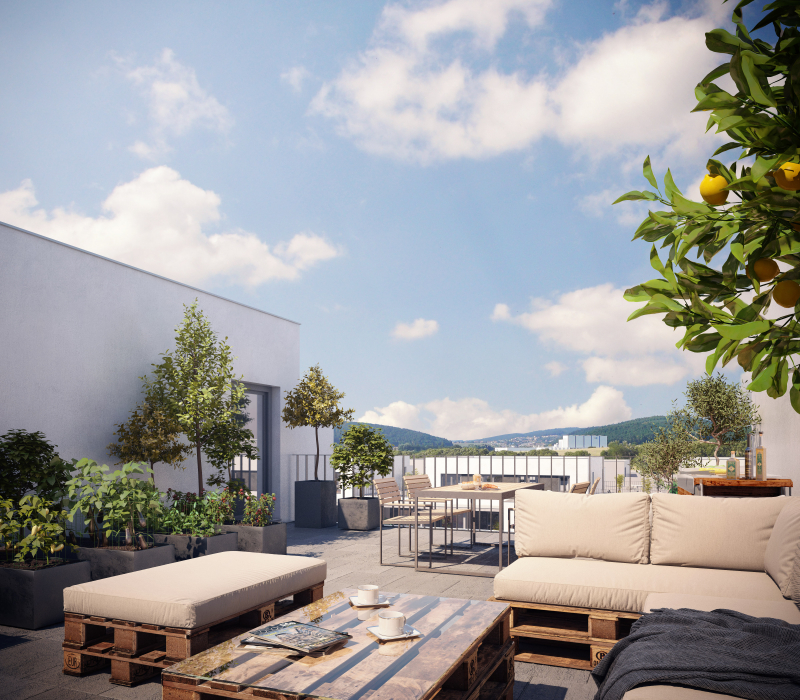 20008_KK_Zahori_camera07