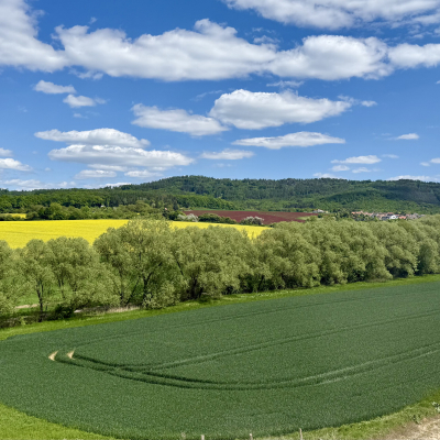V prodeji jsou již všechny bloky IV. etapy